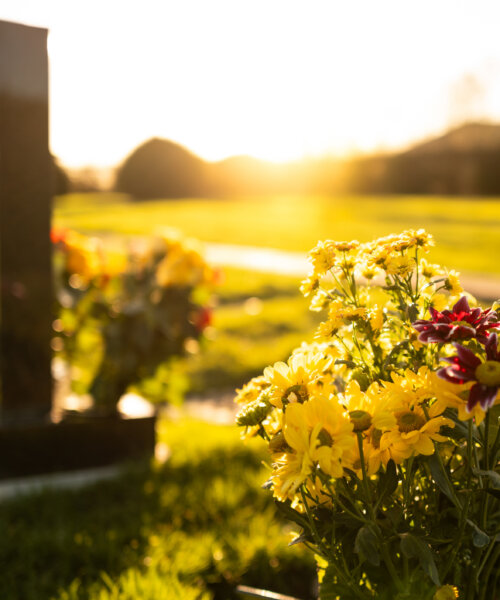 Gravesite at sunset with yellow flowers